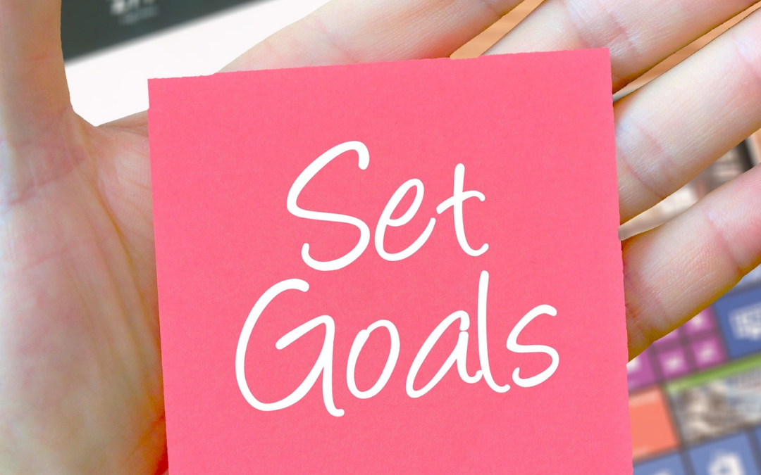 Changemaker: Individual Goals