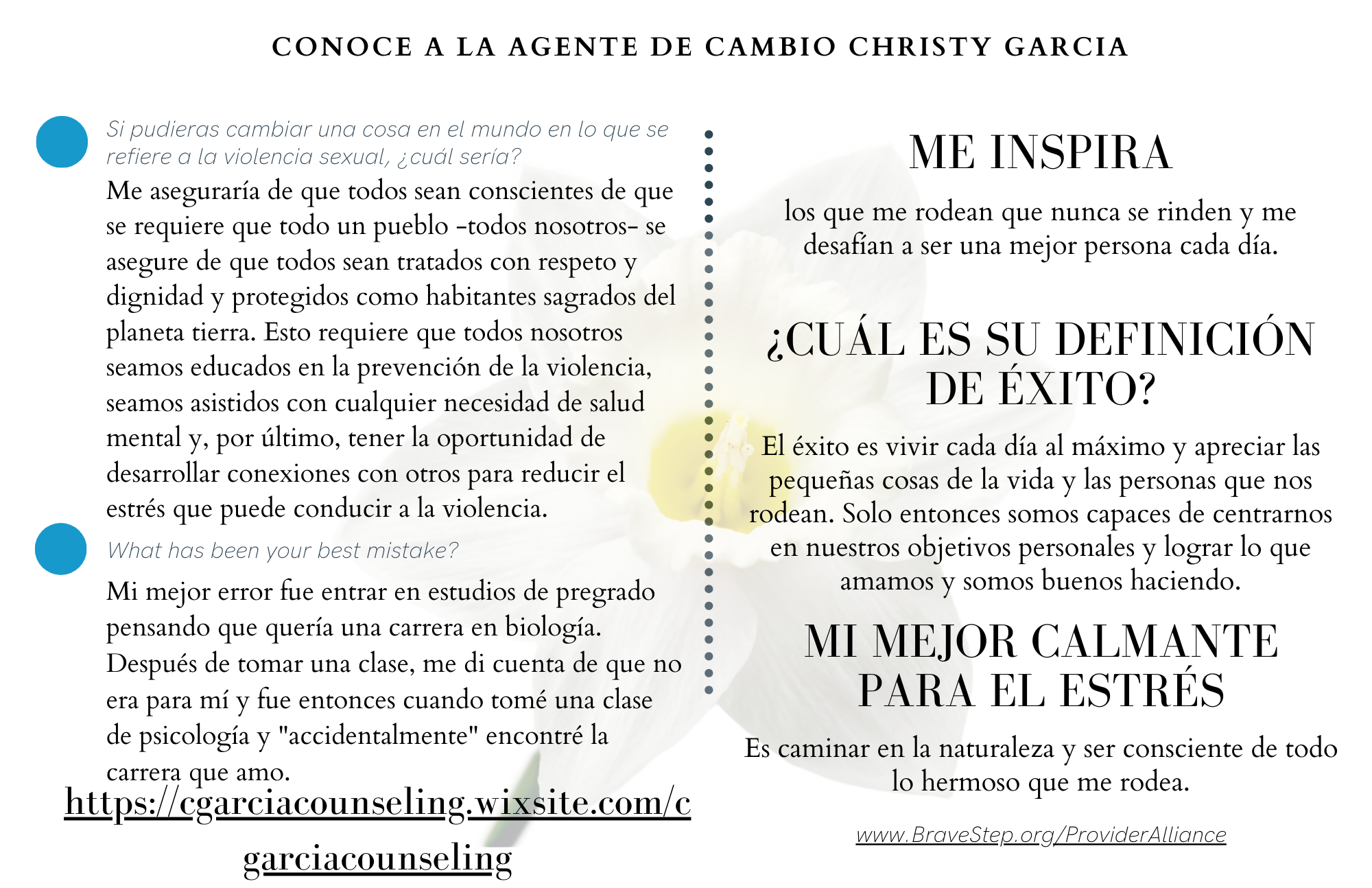 2 C. Garcia in Spanish 2