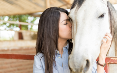 Grounding with Horses
