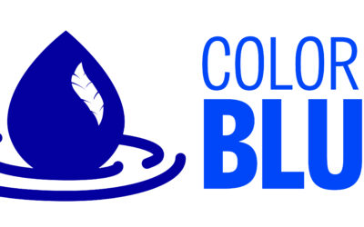 Color It Blue Lunch-and-Learn Webinars