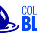 Color It Blue Lunch-and-Learn Webinars